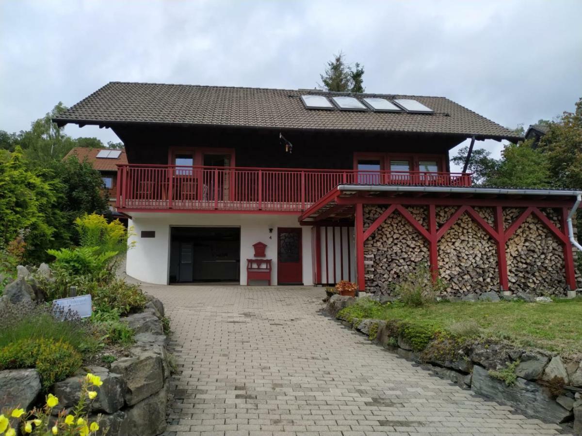 Ferienhaus Winterberg Bromskirchen Esterno foto
